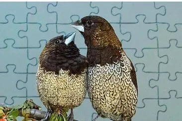 פאזל של imagem