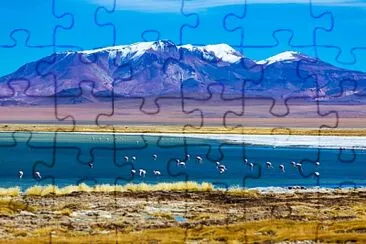 Foto jigsaw puzzle