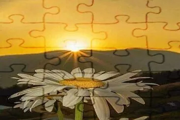 margarita atardecer jigsaw puzzle