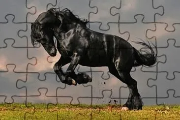 Foto jigsaw puzzle