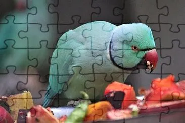 Foto jigsaw puzzle
