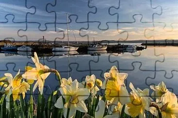Foto jigsaw puzzle