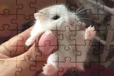 141