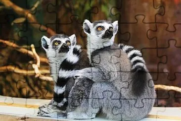 Foto jigsaw puzzle