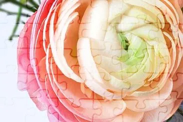 Foto jigsaw puzzle