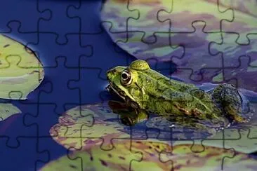 Foto jigsaw puzzle