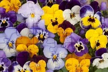 Foto jigsaw puzzle