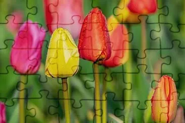Foto jigsaw puzzle
