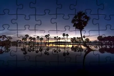 Toy jigsaw puzzle