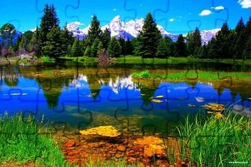 TESTE jigsaw puzzle