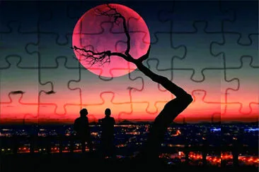  jigsaw puzzle