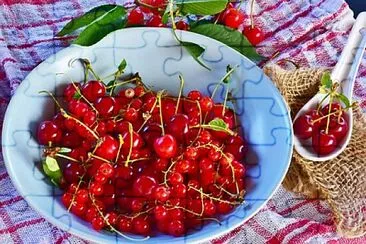 Foto jigsaw puzzle