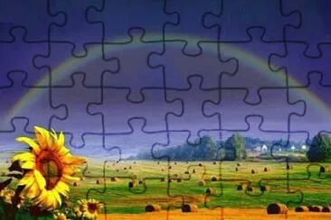  jigsaw puzzle