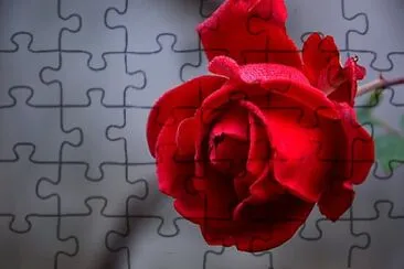 Toy jigsaw puzzle