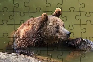 Toy jigsaw puzzle