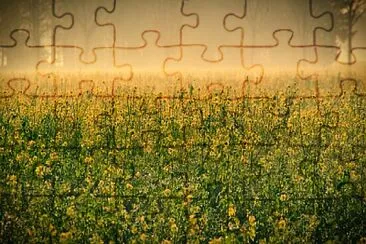 Toy jigsaw puzzle