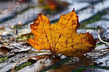 Toy jigsaw puzzle