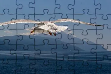 Toy jigsaw puzzle