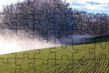 Toy jigsaw puzzle