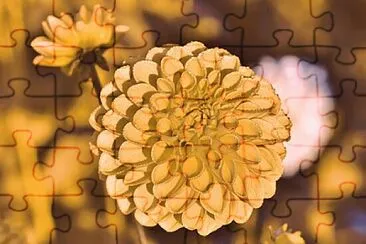 Toy jigsaw puzzle