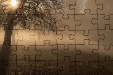 Toy jigsaw puzzle