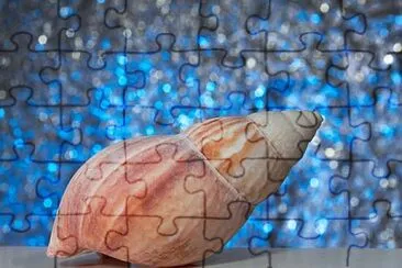 Toy jigsaw puzzle