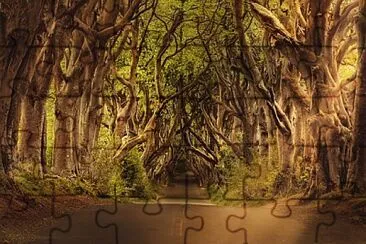 Toy jigsaw puzzle