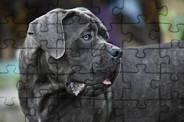 Toy jigsaw puzzle