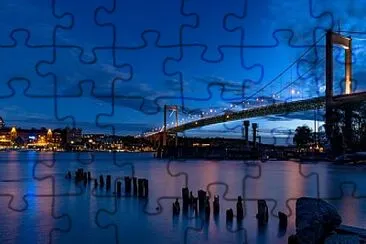 Toy jigsaw puzzle