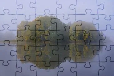 Toy jigsaw puzzle
