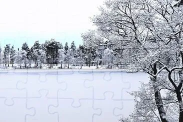 Toy jigsaw puzzle