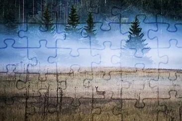 Toy jigsaw puzzle