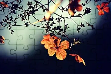 Toy jigsaw puzzle