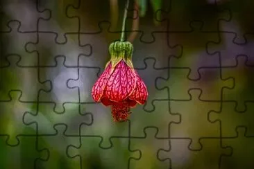 Toy jigsaw puzzle