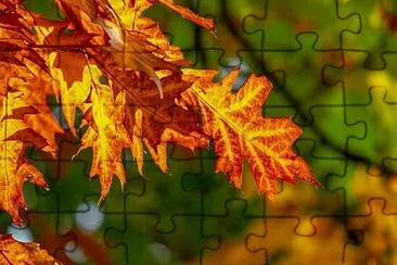 Toy jigsaw puzzle