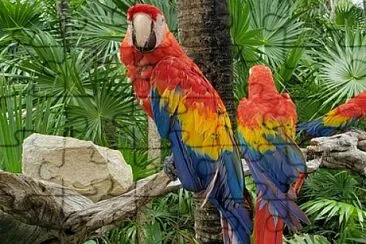 CENÁRIO K655 jigsaw puzzle