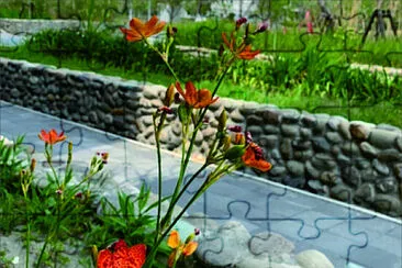 角落 jigsaw puzzle