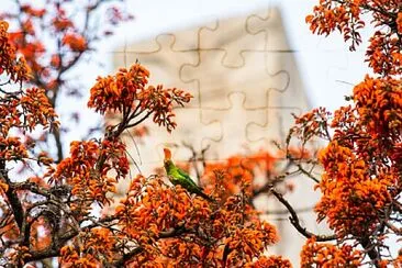 imagem jigsaw puzzle