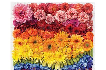 General jigsaw puzzle