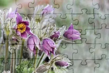 Imagem jigsaw puzzle