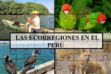 Arma el puzzle sobre las ecorregiones. jigsaw puzzle