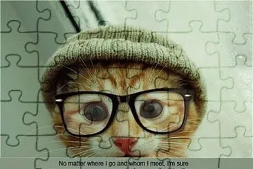  jigsaw puzzle