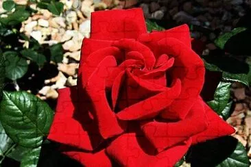 imagem jigsaw puzzle