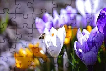 OK jigsaw puzzle