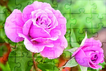 花賞 jigsaw puzzle