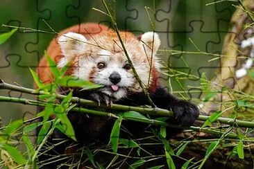 token jigsaw puzzle