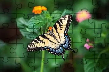 Toy jigsaw puzzle