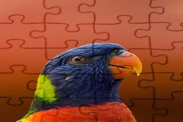 papagal jigsaw puzzle