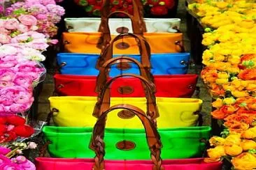 Rainbow Purses