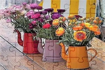 Foto jigsaw puzzle